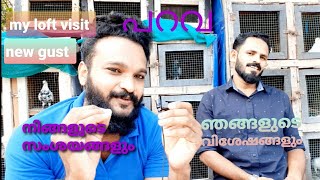 പറവ highflyer pigeon my loft visit new gust നിങ്ങളുടെ സംശയങ്ങളും ഞങ്ങളുടെ വിശേഷങ്ങളും