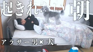 🐶犬とアラサー独身男　起きれない朝の葛藤ルーティン【一人暮らしのルーティン】【トイプードルのグリィ】【犬】【dog】【toy poodle】