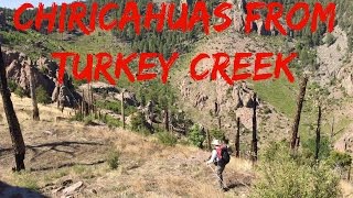 How to hike the Chiricahuas from Turkey Creek