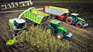 Ensilage de maïs XXL 🌽 2024: ETA LAPRAILLE.C en action (10 ensembles Tracteurs /Bennes) 😱😱😱