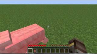 Minecraft Tutorial _ How to spawn a pig and a chicken