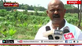 Puttur: Meet the successful agriculturist  Edapathya Chandra │Daijiworld Television