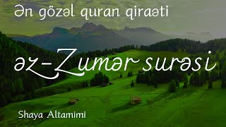 Zumər surəsi - Shaya Altamimi / شايع التميمي - سورة الزمر / HUZUR VERİCİ.ƏN GÖZƏL QURAN QİRAƏTİ