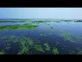 kolleru lake aerial view in 4k. kolleru eluru andhra pradesh