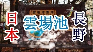 日本之旅：長野縣 雲場池 在清爽美麗及平靜的空間中悠閒地散步 長野49 Moopon