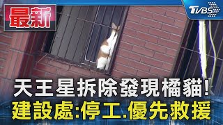 天王星拆除發現橘貓! 建設處:停工.優先救援｜TVBS新聞 @TVBSNEWS01