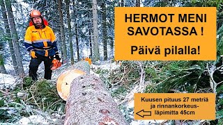 Hermot meni savotassa - päivä pilalla!