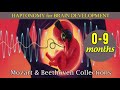 ❤ Music for Brain Development & Intelligent ❤ Music for Unborn & Newborn Baby ❤