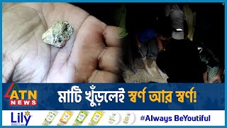 মাটি খুঁড়লেই স্বর্ণ আর স্বর্ণ! | Gold Found | Under Ground | Ranisankail | Thakurgaon | ATN News