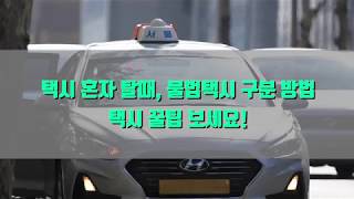 [데일리팝TV-혼족상식] 택시 혼자 탈때, 불법택시 구분 방법..택시 꿀팁 보세요!
