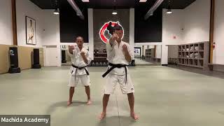 Machida Karate Virtual Dojo Class #1 - Straight Punch