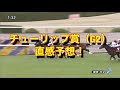 2021年3月6日（土）jra３場（小倉競馬場、阪神競馬場、中山競馬場）メインレース予想！ 八代特別、チューリップ賞（g2）、オーシャンステークス（g3）