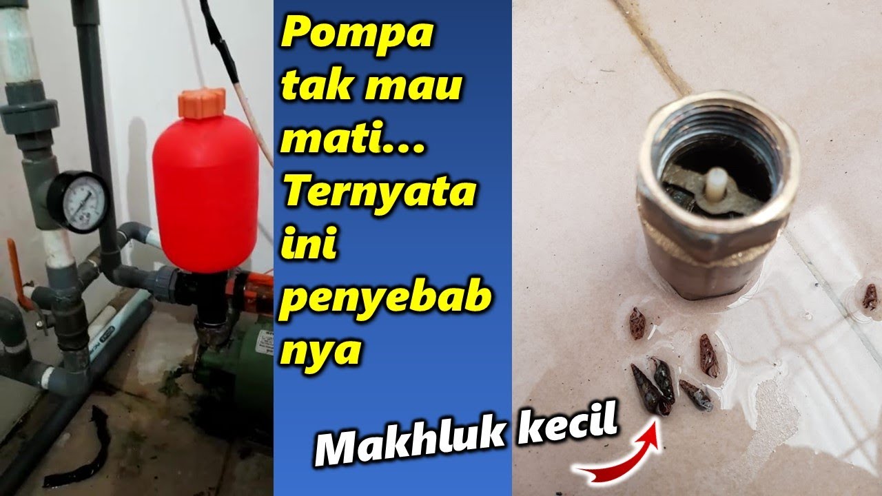 Pompa Air Tidak Mau Mati. Ternyata Ini Penyebabnya - YouTube