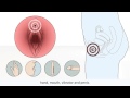 The female orgasm explained - How female orgasm works - Sex Education