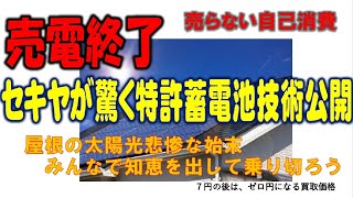 セキヤ、売電終了後の蓄電池技術公開、ソーラー電力を８円で売らない、使う、完全な節電方法を提案します。電気料金、ポータブル電源、蓄電池、ポータブルで自家発電を楽しむポータブル電源、蓄電池、バッテリー増設