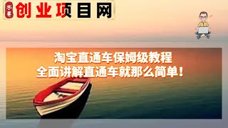 2023年网赚项目赚钱项目薅羊毛  淘宝直通车保姆级教程，全面讲解直通车就那么简单！