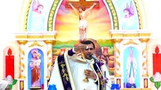 Malayalam  Holy Mass  / വി.കുർബാന / February 7/ Fr. Naveen Ukken /#trending #holymass