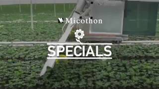 Micothon Specials, custom-built for Your Integrated Pest Management