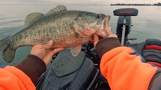 琵琶湖の春 プリスポーンダイナマイト