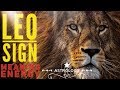 LEO SIGN IN ASTROLOGY:  Meaning, Traits, Magnetism