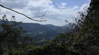 癒し 田舎の風景 野鳥の鳴き声と虫の声＆カエルの鳴き声4時間