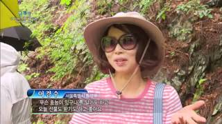 [세상발견 유레카] 더위타파! 신흥여름강자 정선 힐링여행 2016.8.29