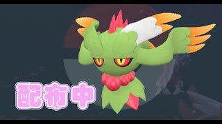 ポケモンSV　ランクマ使用率１位　ハバタクカミ色　配布