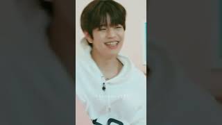 Seungmin act exactly like Kkami based on Hyunjin #straykids #hyunjin #seungmin