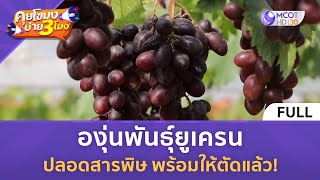 [คลิปเต็ม] องุ่นพันธุ์ยูเครน ปลอดสารพิษ พร้อมให้ตัดแล้ว (29 ธ.ค. 66) | คุยโขมงบ่าย 3 โมง