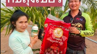 #ภูพานเฮ #เกษตรกร #ปาล์ม #เกษตรอินทรีย์ #ปลอดสารพิษ #เกษตรเจี๊ยบ สอบถาม 080-9545597