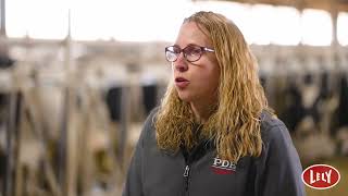 Lely Quaress Barrier - Improving Udder Health in Dairy Cows