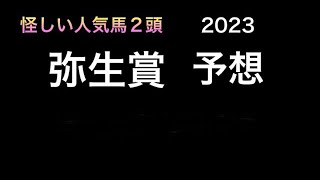 【競馬予想】 弥生賞 2023 予想