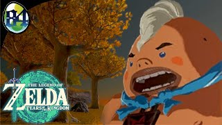 Zelda TOTK [84]: WHY'D YOU DO IT?