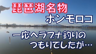 琵琶湖名物ホンモロコ…一応へらぶな釣りのつもりでしたが…