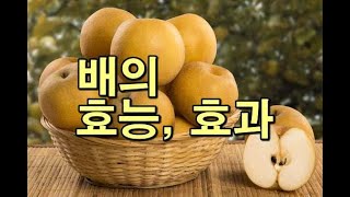 배의 효능, 효과 Korean Pear benefits