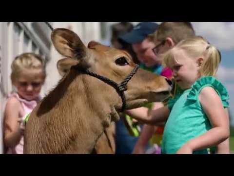 Dairy Farmers - Nature's Recyclers Dairy Farmers - Nature's Recyclers