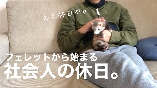 フェレットから始まる社会人の日曜ルーティン【赤ちゃん】