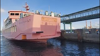 【垂水フェリー】入港・出港　(Tarumizu Ferry)　#鹿児島  #錦江湾  #桜島