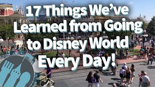 17 Life Lessons We've Learned From Going to Disney World EVERY DAY