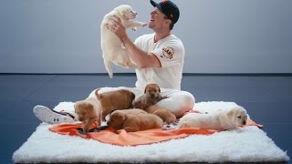 2017: Buster Hugs Blanket - Puppy Love