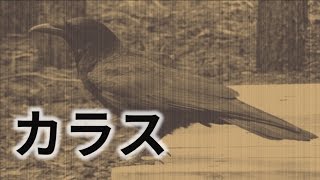 【怖い話・都市伝説・怪談朗読】「カラス」動物の知らせ..