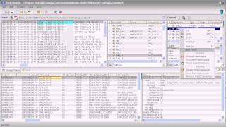 Split Field Text Processing