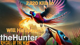 Great One Pheasant Grinding! | 2200 Kills In! | theHunter: Call of the Wild