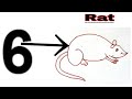 6 =Rat 🐀 easy rat drawing for beginners simple rat #art #trending #youtubevideo