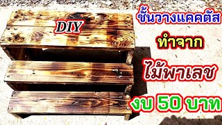 💥diy ชั้นวางแคคตัส ทำจากไม้พาเลช งบ50บาท ทำง่ายๆ/พ่อบ้านยุคใหม่/💥