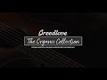 breedlove organic collection the performer series