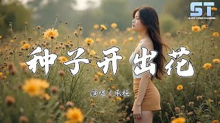 种子开出花 - 承桓『种子被泼过很多冷水却变成了鲜花，我们歪歪扭扭的活着却不轻易倒下』【動態歌詞 | Lyrics】