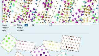 grid cell module prototype visualizations