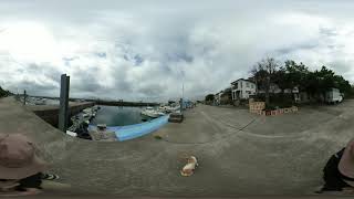 【熊本は上天草の猫の島　湯島での360°VRムービー　Cat Island Yushima Kumamoto】