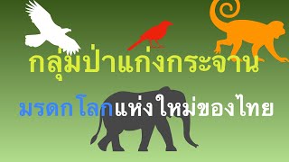 🐘🦥🕊กลุ่มป่าแก่งกระจาน …มรดกโลกแห่งใหม่ของไทย